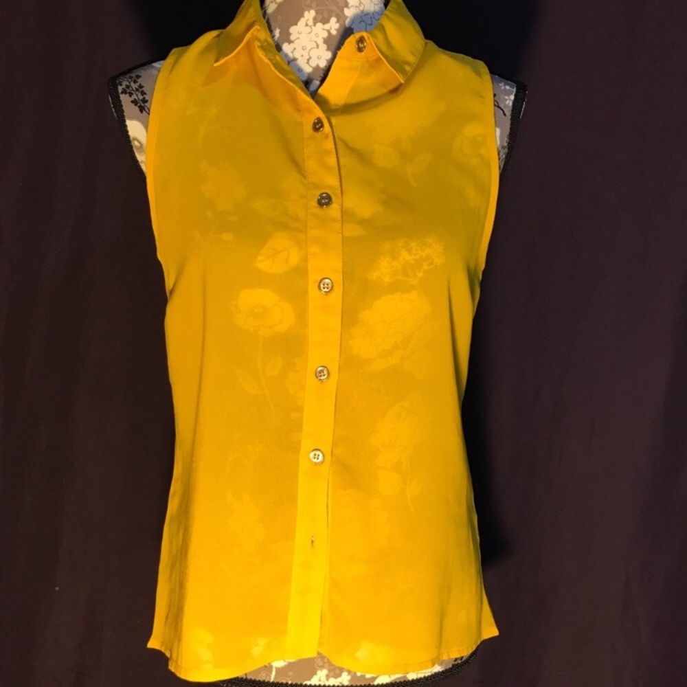 Sheer/transparent sleeveless button down
